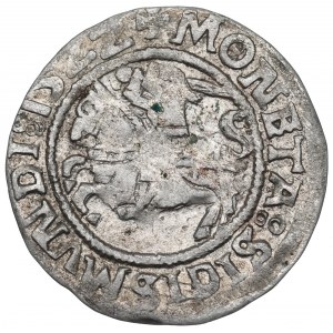 Sigismund I the Old, Halfgroat 1522, Vilnius