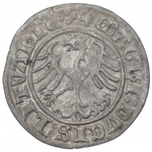 Sigismund I the Old, Halfgroat 1511, Vilnius