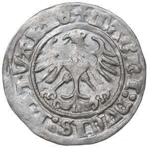 Sigismund I the Old, Halfgroat 1513, Vilnius
