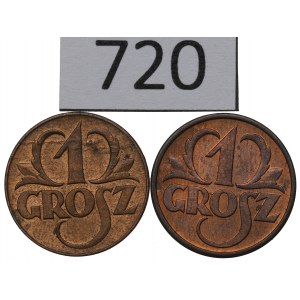 II RP, Zestaw 1 grosz 1923-38