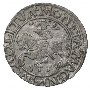 Sigismund II Augustus, Halfgroat 1559, Vilnius