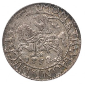 Sigismund II Augustus, Halfgroat 1558, Vilnius - NGC AU58