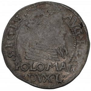 Sigismund II Augustus, Groschen for Poland 1566