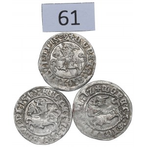 Zygmunt I Stary, Zestaw półgroszy 1509-12, Wilno