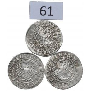 Zygmunt I Stary, Zestaw półgroszy 1509-12, Wilno
