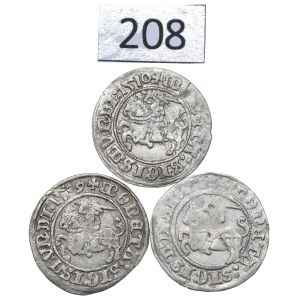 Sigismund I, Lot of halfgroats 1509-13, Vilnius