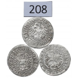 Sigismund I, Lot of halfgroats 1509-13, Vilnius
