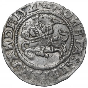 Zygmunt I Stary, Półgrosz 1527, Wilno