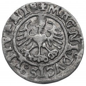 Sigismund I the Old, Halfgroat 1526, Vilnius