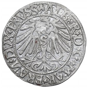 Germany, Preussen, Albrecht Hohenzollern, Groschen 1544, Konigsberg