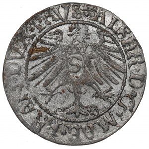 Germany, Preussen, Albrecht Hohenzollern, Groschen 1535, Konigsberg - its time forgery