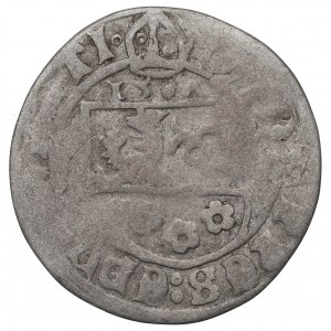 Schlesien, Bishopic Duchy, John Turzo, Groschen 1507