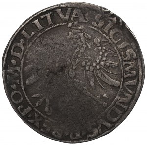 Sigismund I the Old, Groat 1535, Vilnius - LITVA/LITV