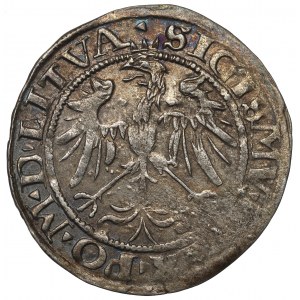 Sigismund I the Old, Groat 1536, Vilnius