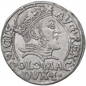 Sigismund II Augustus, Grossus 1547, Vilnius