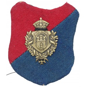 Lviv badge with shield