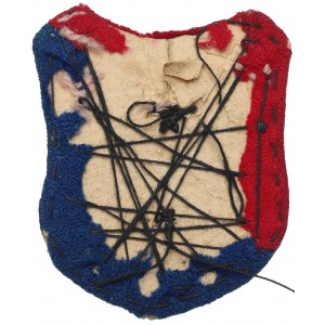 Lviv badge with shield