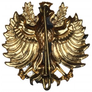 Austria, Tirol, Eagle