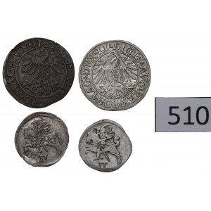 Zygmunt II August, Zestaw dwudenarów i półgroszy