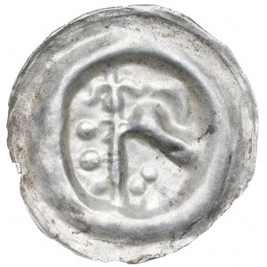 Pomorze Wschodnie, Świętopełk II Wielki (1220-1266), brakteat, PTAK - rzadki