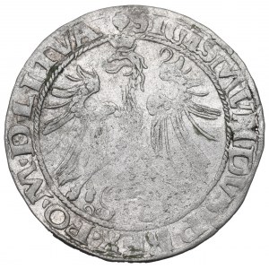 Sigismund I the Old, Groat 1535, Vilnius - LITVA/LITV