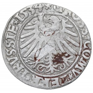 Sigismund I the Old, Groschen for Prussia 1534, Thorn