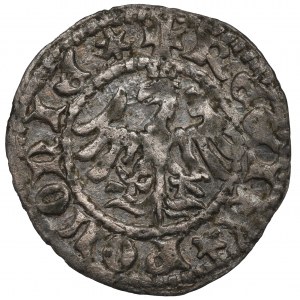 Ladislaus Jagiello, Halbergroschen ohne Datum, Krakau - Initiale P