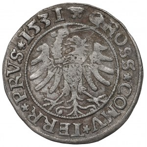 Zygmunt I Stary, Grosz dla ziem pruskich 1531, Toruń - PRVS/PRVS
