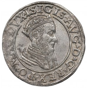 Sigismund II Augustus, 4 groschen 1567 Vilnius