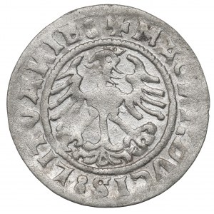 Sigismund I the Old, Halfgroat 1519, Vilnius