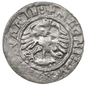 Sigismund I the Old, Halfgroat 1523, Vilnius