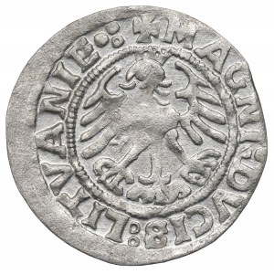 Sigismund I the Old, Halfgroat 1519, Vilnius