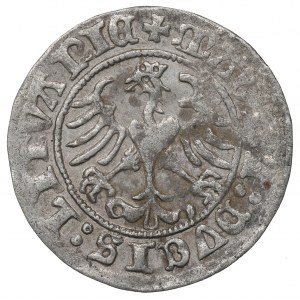 Sigismund I the Old, Halfgroat 1510, Vilnius