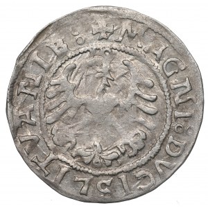 Sigismund I the Old, Halfgroat 1521, Vilnius