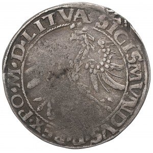 Sigismond Ier le Vieux, centime 1535, Vilnius - LITVA/LITVAN