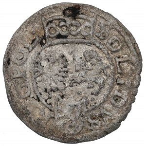 Sigismund III, Schilling 1601, Fraustadt