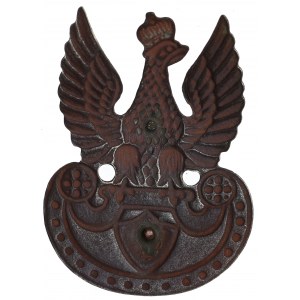 II RP, Aigle wz.23 fusillade