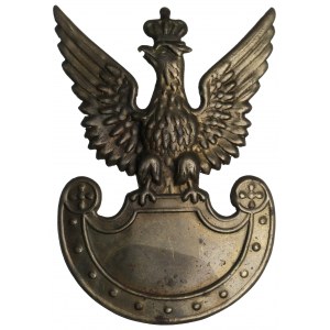 Aigle partisan wz.19