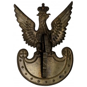 Aigle partisan wz.19