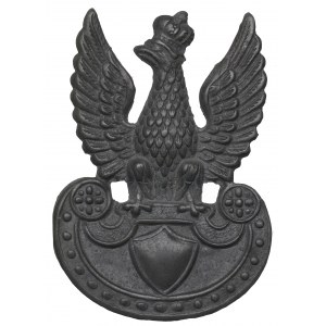 II RP, Eagle wz.23 fusillade