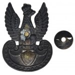 II RP, Aigle wz.23 fusillade