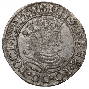 Zygmunt I Stary, Grosz dla ziem pruskich 1531, Toruń - PRVS/PRVS