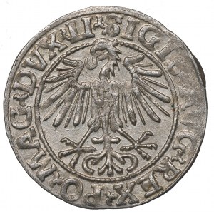 Sigismund II Augustus, Halfgroat 1548, Vilnius