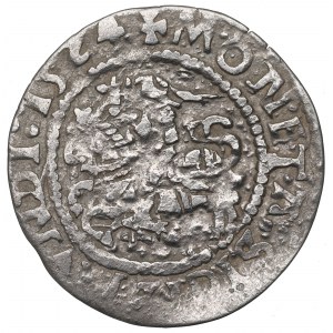 Sigismund I the Old, Halfgroat 1524, Vilnius