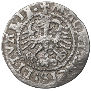 Sigismund I the Old, Halfgroat 1524, Vilnius