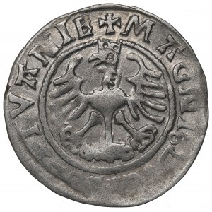 Sigismund I the Old, Halfgroat 1523, Vilnius