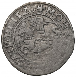 Sigismund I the Old, Halfgroat 1520, Vilnius