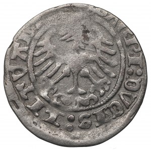 Sigismund I the Old, Halfgroat 1514, Vilnius