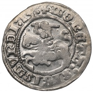 Sigismund I the Old, Halfgroat 1513, Vilnius