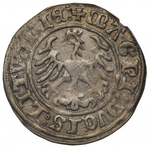 Sigismund I the Old, Halfgroat 1509, Vilnius